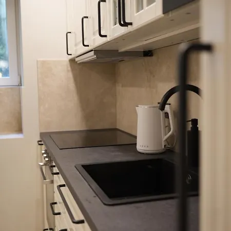 Krisjana Valdemara - Center Newly Renovated 公寓 *