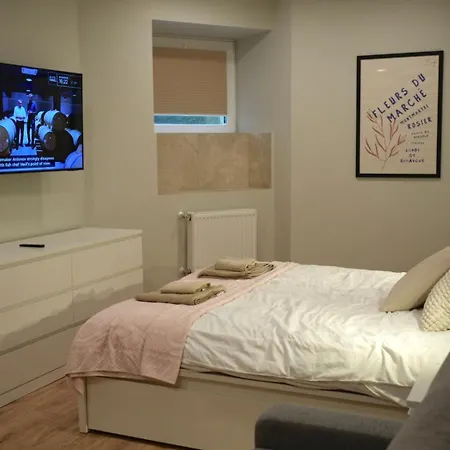 Krisjana Valdemara - Center Newly Renovated Lejlighed *