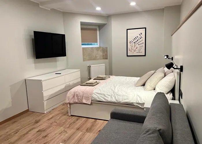 Dzīvoklis Krisjana Valdemara - Center Newly Renovated Riga